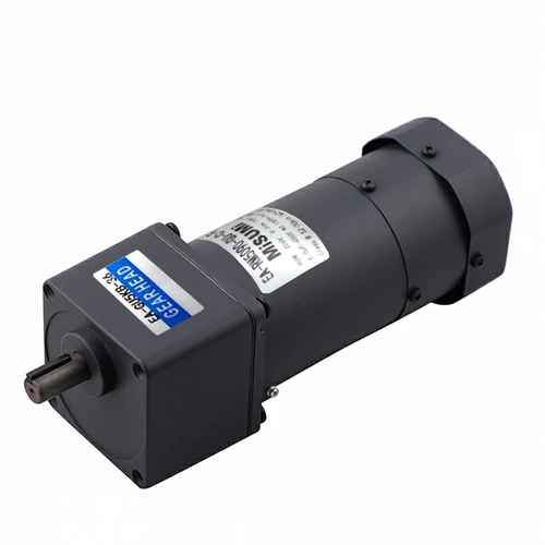 Small AC Reversible Motors 6-120W