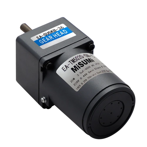 Small AC Torque Motors 3-20W