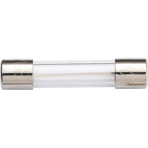 Glass Tube Fuse (For Inventory Storage)
