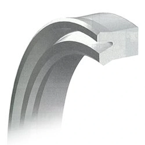 Packing Dedicated for IDI Type Rod Seals