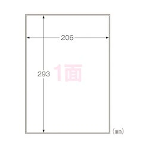 Label for Outdoor Use Strong Adhesion Removable A4 Uncut Includes 10 Sheets