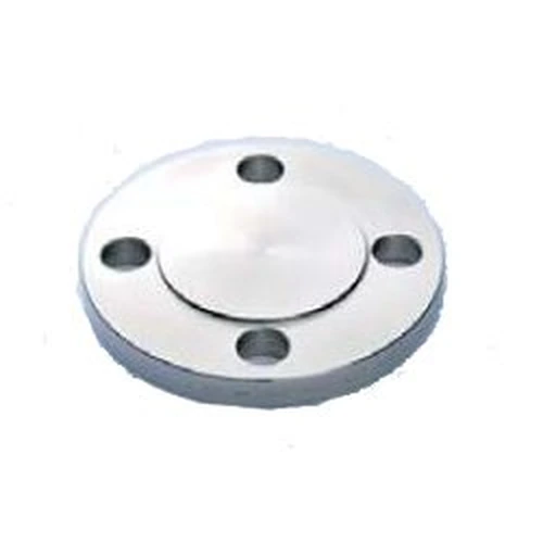 PID-133895_0 Stainless Steel Pipe Flange SUS F304 Blind Flange 10K with Seat - Image 1