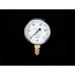 Pressure Gauge EA729BC-15
