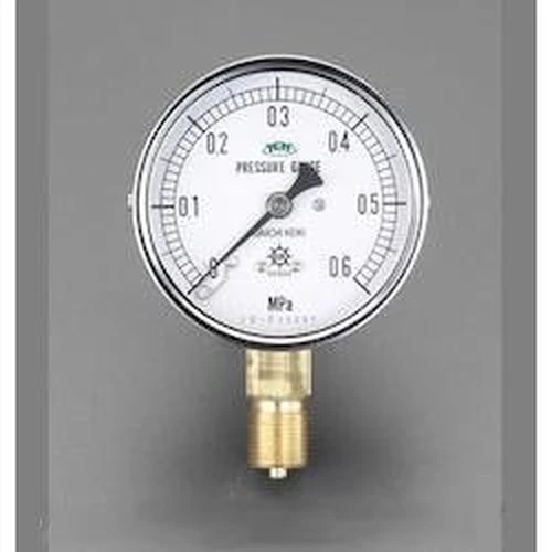 PID-169750_0 Pulsating Pressure Resistant Pressure Gauge EA729GK-100 - Image 1