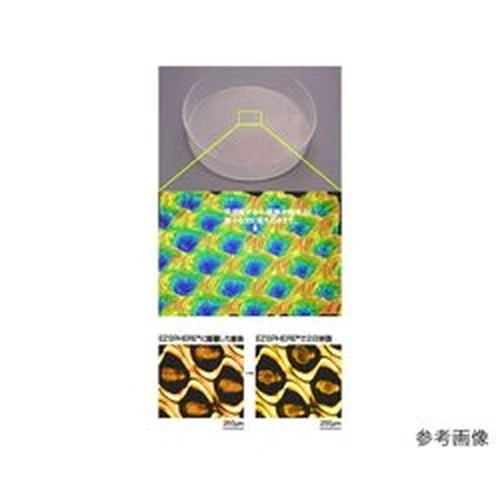 PID-190685_0 EZSPHERE (Container for Spheroid Formation Culture) Dish - Image 1