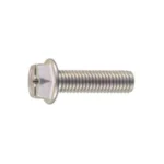Cross-Recessed/Slotted Hexagon Flange Screw