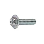 Hex TP Small Screw with Phillips Head