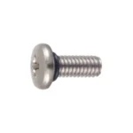 Phillips Bind Seal Screw