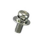 Brass Pan-Head Set Screw (With SW / PW [Large]) / B-0000-S2