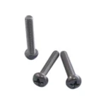 Precision TOTSUPURA Screw: Pan
