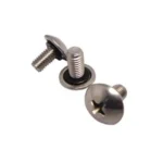 Seal-Up Screw Truss-Head Type