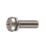 Pan Head Screw with Cross/Straight Slot P=2 (SW)