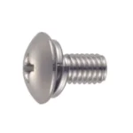 Phillips Head Truss Screw P=2 (SW)