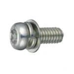 TRX Tamper-Proof Pan Head P-4 (SW+JIS Small, Flat W)