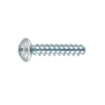 PT Screw (1411-H1) with Phillips Head