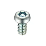 Tamper-Proof Screw Pin/Pan 6 Lobe Tapping B Type