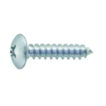 Truss Head Tapping Screw