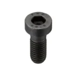 Socket Head Cap Screws With Low Profile (With Pilot Recess) SLP